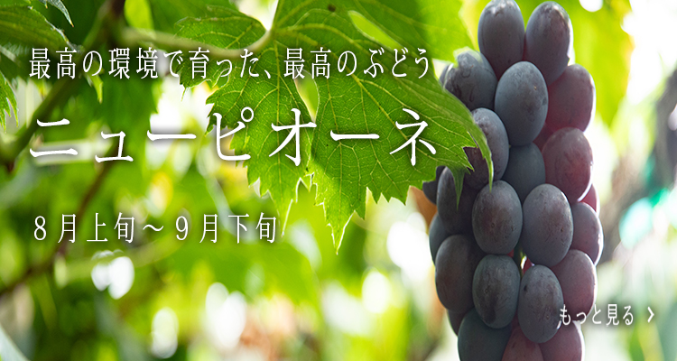 特選ピオーネ